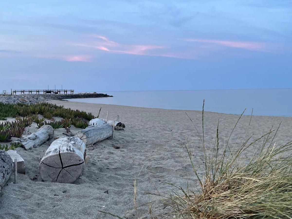 Ferienhaus In Residence Naturiste Direkt Am Strand Leucate Buitenkant foto